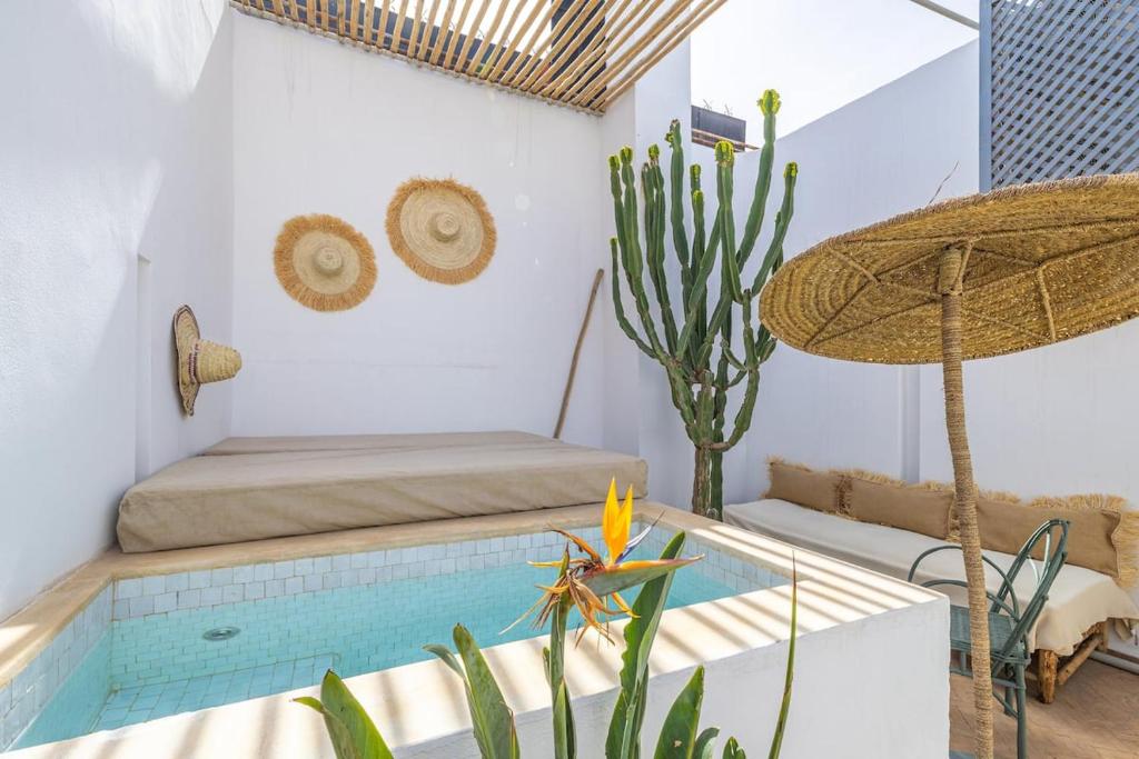 Riad YANNIS — photo 2