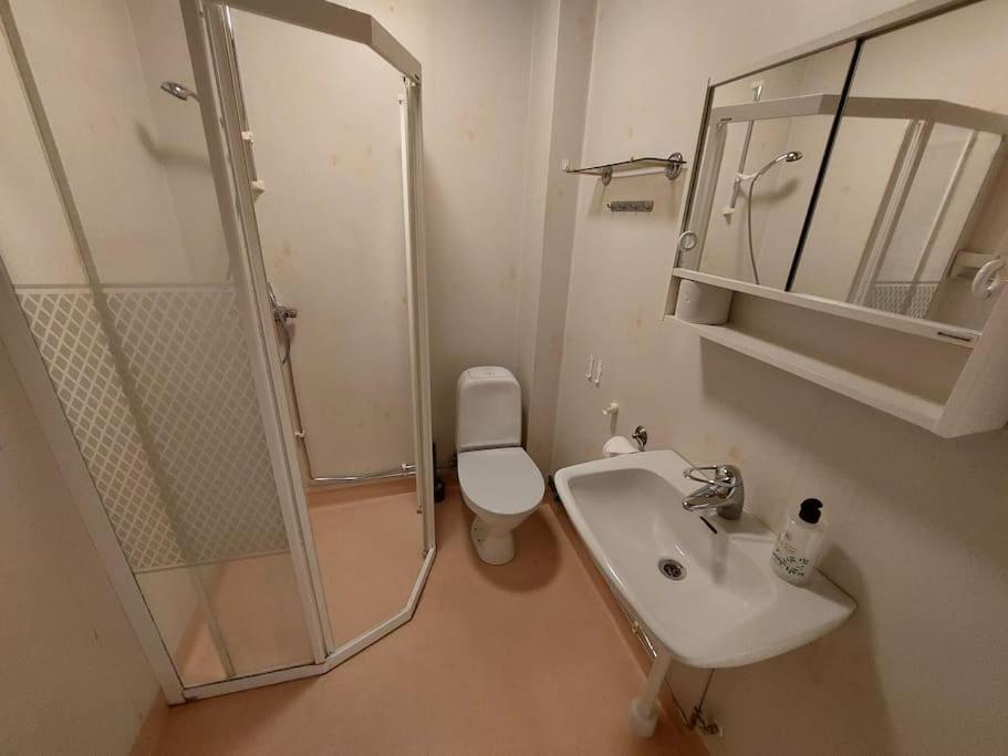 Koupelna v ubytování Spacious three-room apartment with balcony