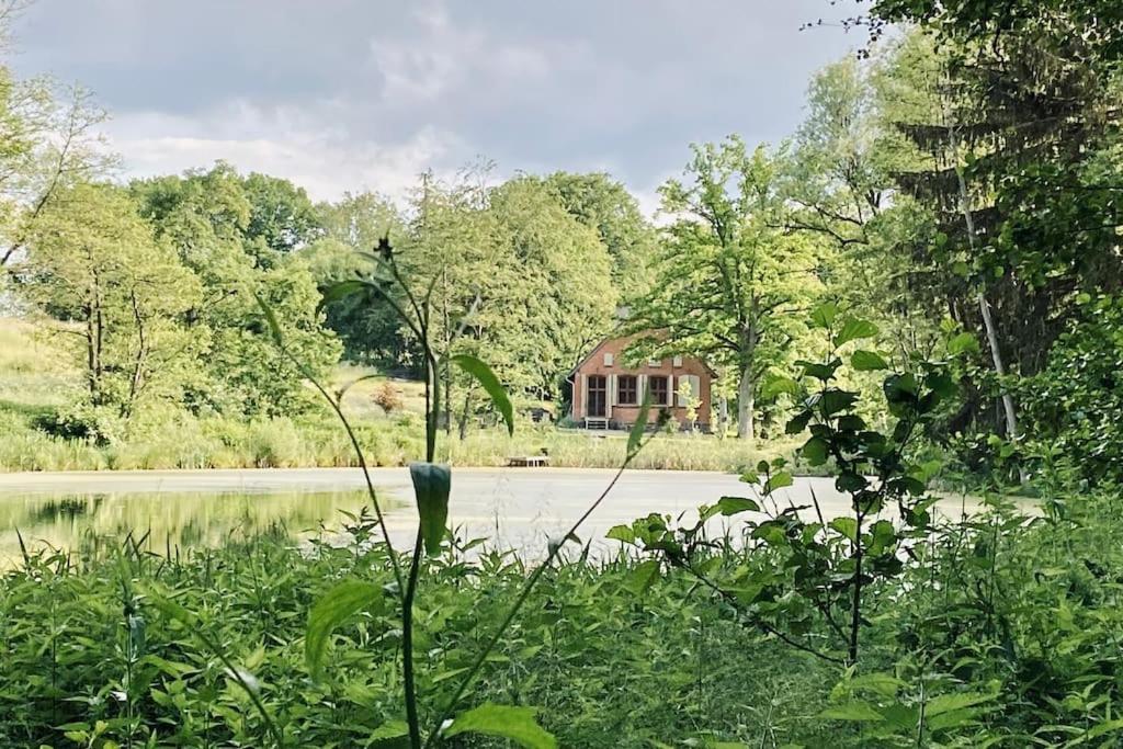 a house on the side of a lake with trees at dALL in Śmidzięcino