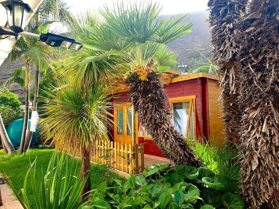 a house with a palm tree in front of it at El Refugio del Valle in La Orotava