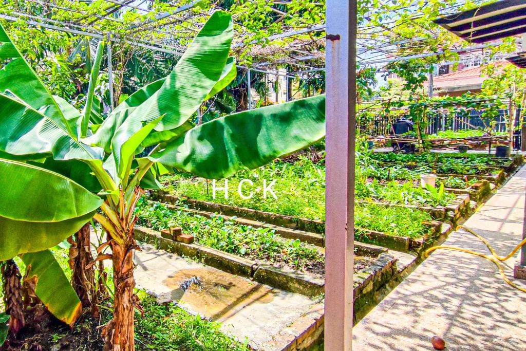 Zahrada ubytování Garden Home at Klang by HCK