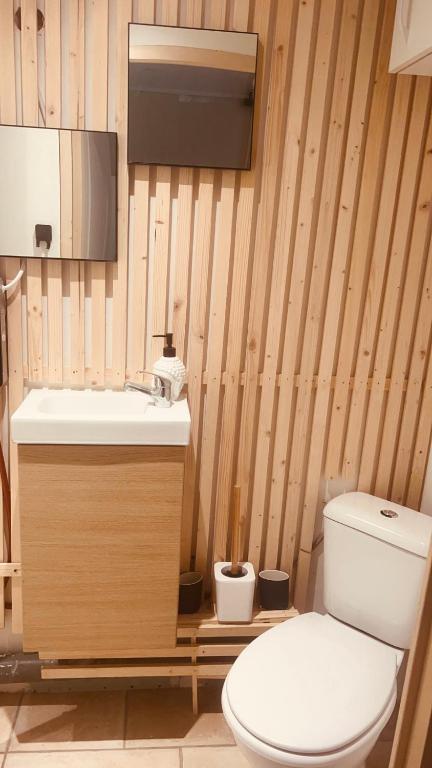 une salle de bain avec toilettes et lavabo dans l'établissement Duplex escalier pliant, à Grez-sur-Loing