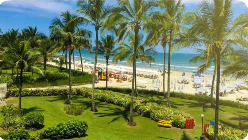 a view of a beach with palm trees and the ocean at ILHA DA MADEIRA Resort apto inteiro in Riviera de São Lourenço