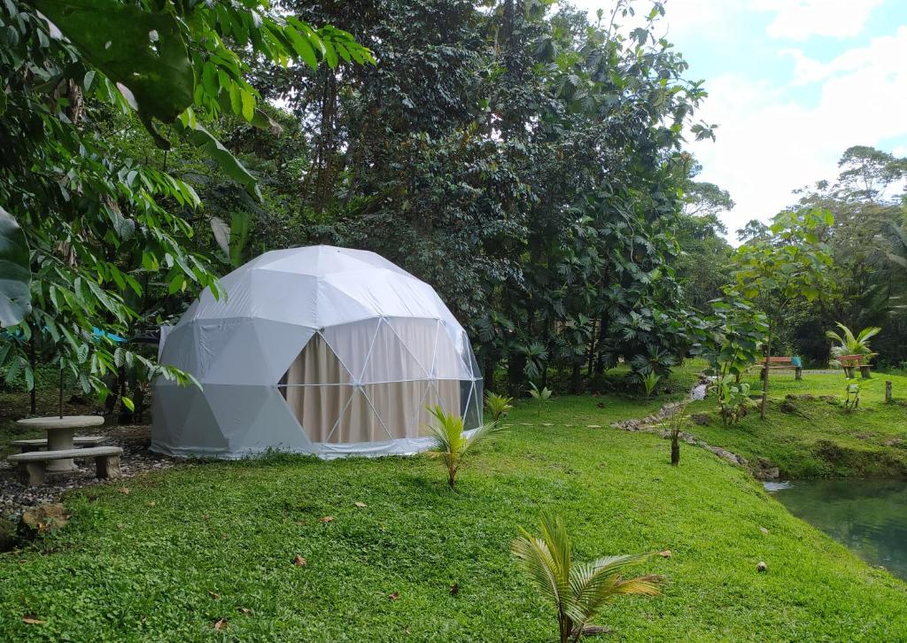 Taman di luar Mineral River Eco Dome