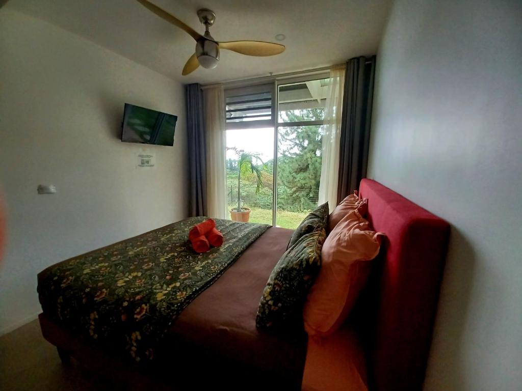 a person laying on a bed in a bedroom with a window at Logement Cosy avec Piscine et Vue Tahiti Punaauia in Punaauia