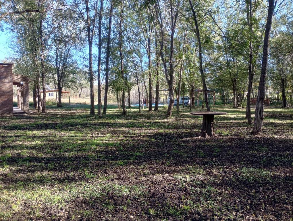 a picnic table in the middle of a park with trees at Los 3 soles in Villa Ciudad Parque