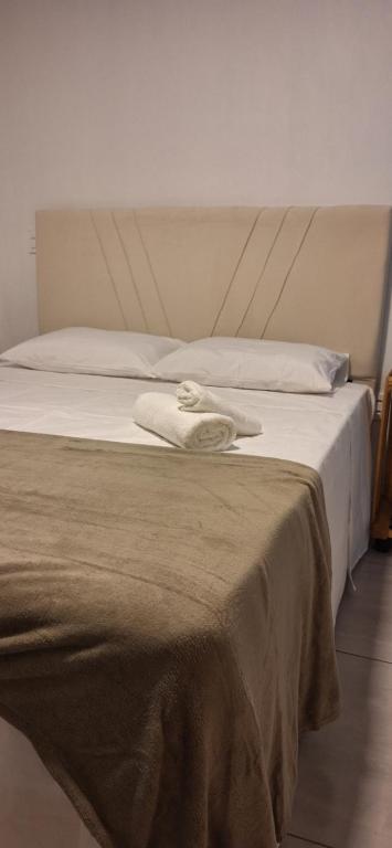 布卢梅瑙SUITE COM AR e BWC PRIVATIVO POUCOS METROS OKTOBERFEST的床上有两条毛巾