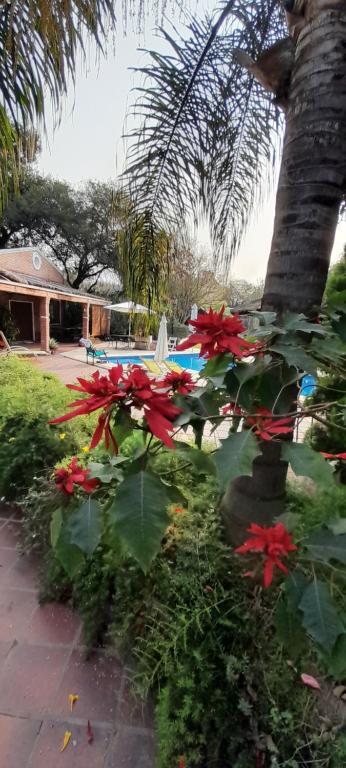 un grupo de flores rojas delante de una palmera en El Guerrero Club de Campo, en Colonia Benítez