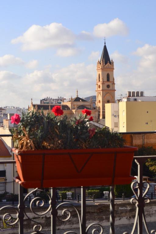 Balkón nebo terasa v ubytování Ole Málaga