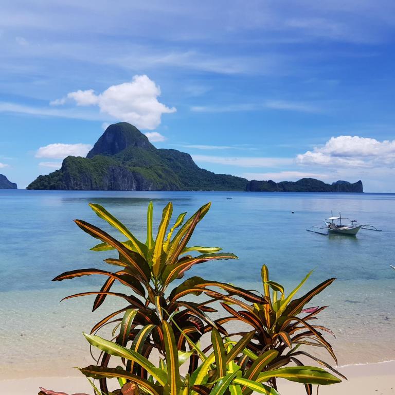 a palm tree on a beach with a boat in the water at Golden Monkey Beach Hotel in El Nido