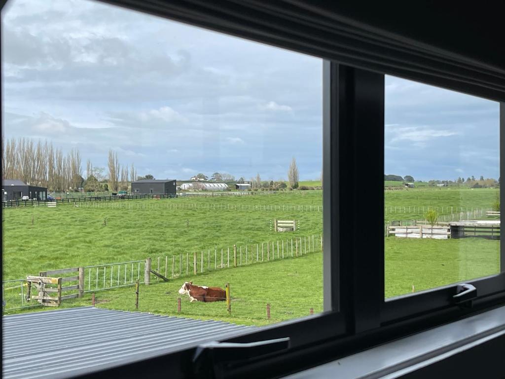 Fotografie z fotogalerie ubytování Country Barn Guesthouse v destinaci Claudelands
