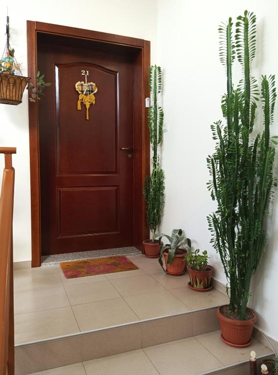 a brown door with potted plants in front of it at Apartment Ventuno 21 in Sliven