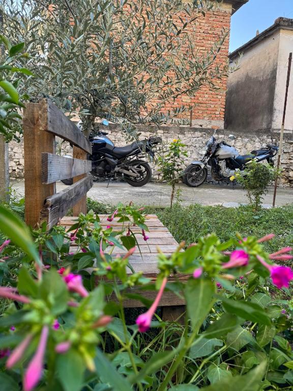 Vườn quanh Ardjon House