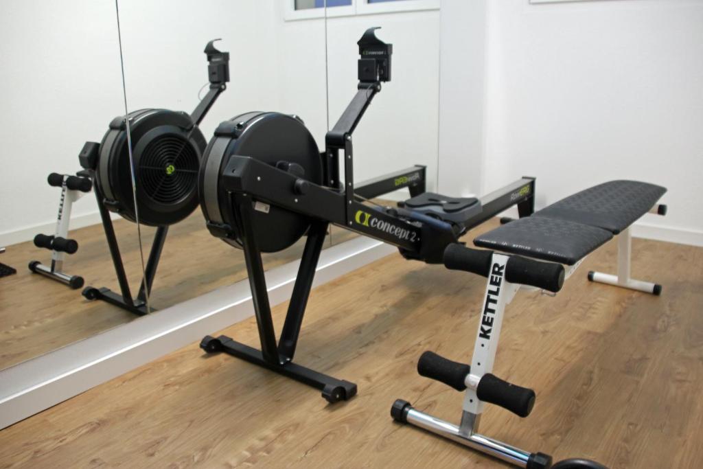 Fitness centrum a/nebo fitness zařízení v ubytování Secret Paradise