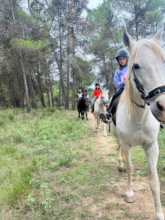 Zvieratá v hosteli alebo blízkom okolí