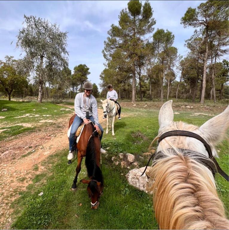 Hostia v ubytovaní Riera dAgres relax rural grupos