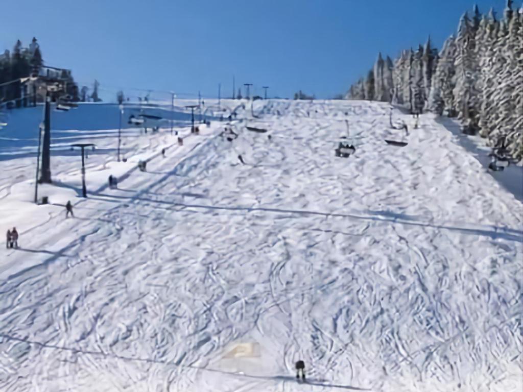 a snow covered ski slope with people skiing down it at Rogla - Chalet Mojca Pokrajculja in Zreče
