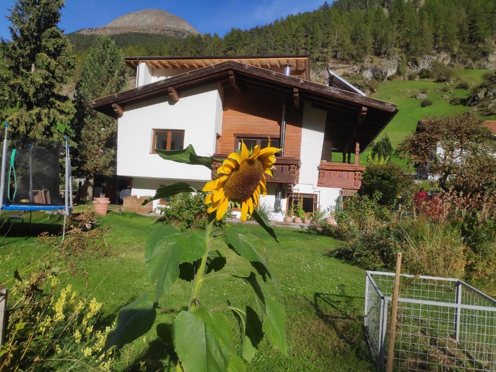 a sunflower in front of a house at Michls Hoamat Doppelzimmer mit Ausziehcouch in Sölden