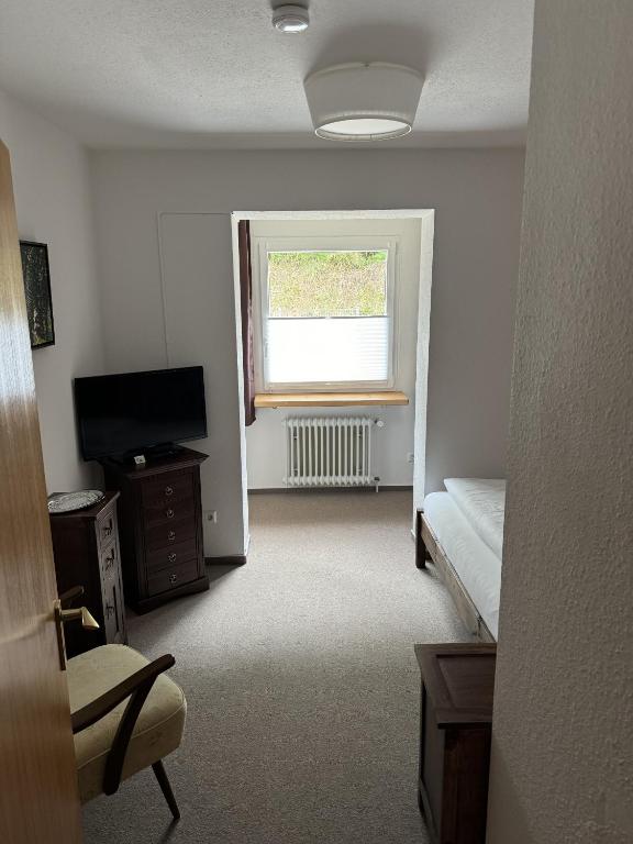 TV a/nebo společenská místnost v ubytování Hotel Silberfelsen