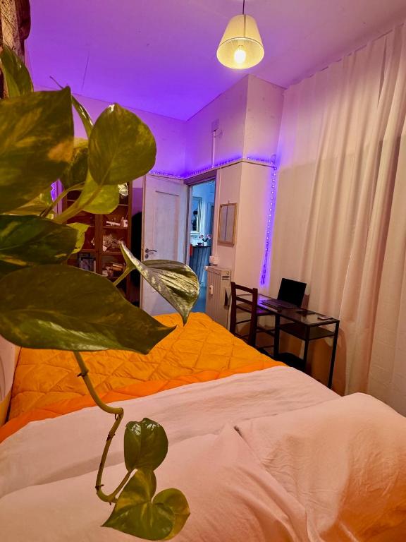 a room with a bed with a green plant at Guest House Romoli in Rome
