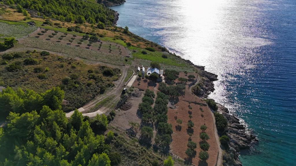 Gallery image of Rural vacation house Shala in Bol