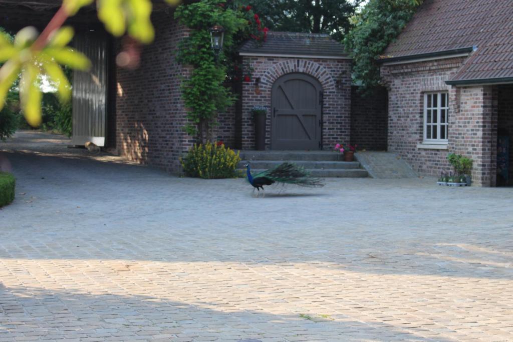 Fotografie z fotogalerie ubytování Imagine B&B v destinaci Wortegem