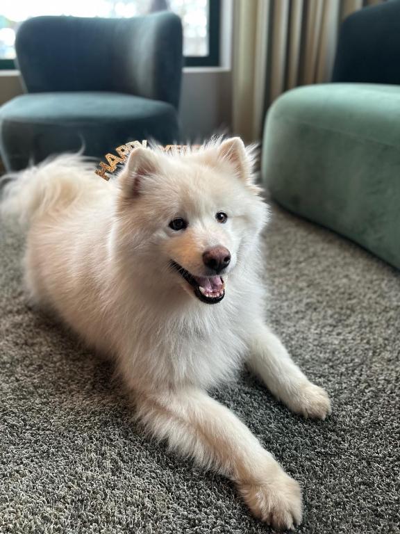 Best Western Plus Hotel Kungens Kurva - Resim 45