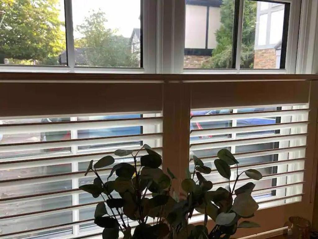 a plant sitting in front of a window at Stunning Private en-suite studio in Cobham in Cobham