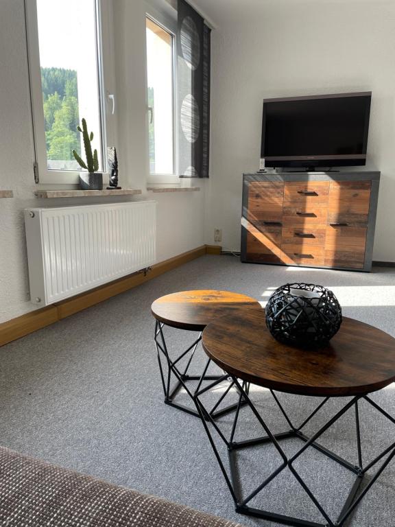 TV a/nebo společenská místnost v ubytování Ferienwohnung für Zwei