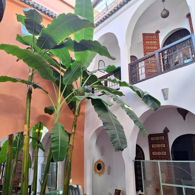 Fotografie z fotogalerie ubytování Riad El Grably v Marrákéši