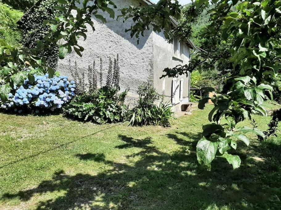 Gîte la petite maison في Soulan: حديقة بها زهور زرقاء ومبنى