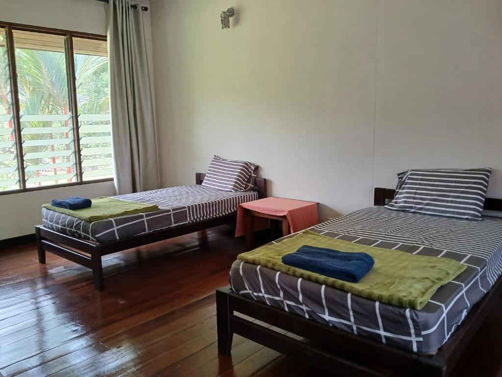 ムルにあるMulu Tribal Homestayのベッド2台とソファ1台と窓のある部屋
