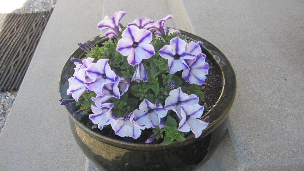 Cromwell Motel - Resim 21