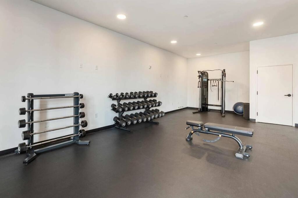 Optimum - Downtown Sanctuary! photo