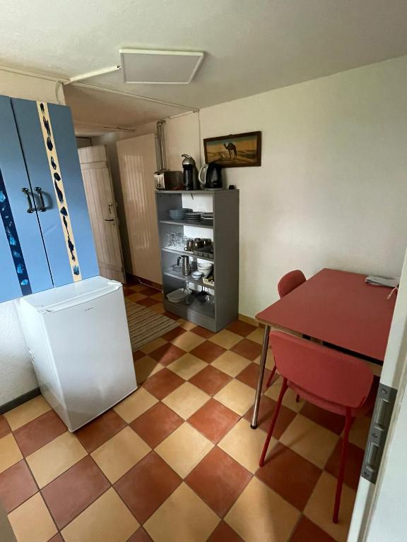 Kuchyň nebo kuchyňský kout v ubytování Appartement 1 pièce entresol 30 m2 proche du centre et bain thermal