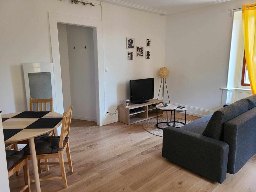 un salon avec un canapé et une table dans l'établissement Le Valentin Charmant 2 pièces, à Belfort
