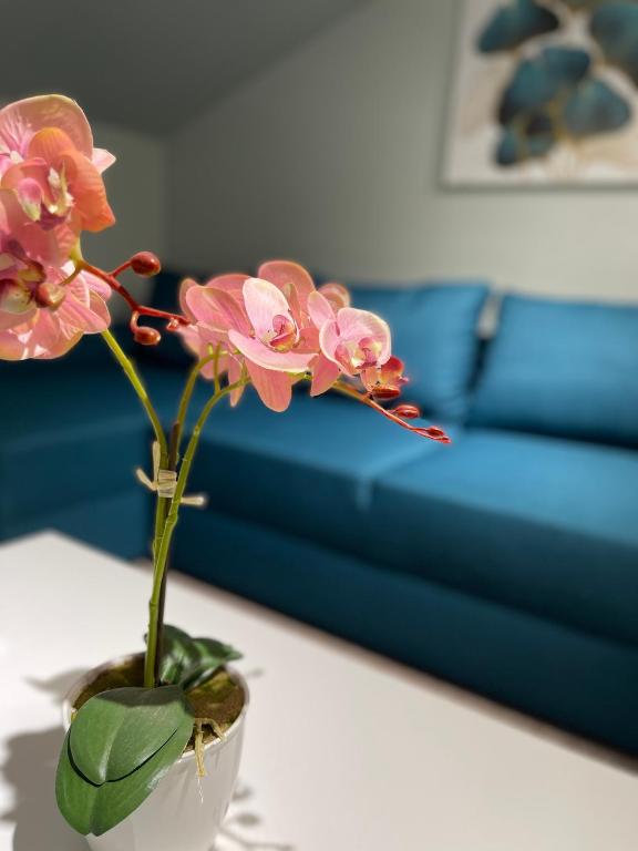 Fantasia Apart Hotel - Resim 18