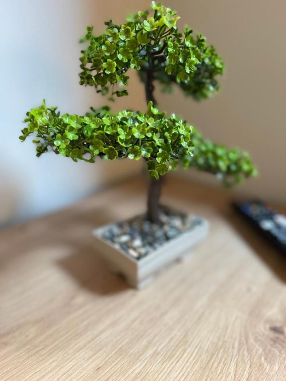 Fantasia Apart Hotel - Resim 20