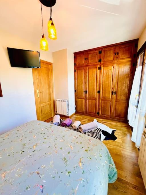 Postel nebo postele na pokoji v ubytování Adosado Las Cumbres de Hoz