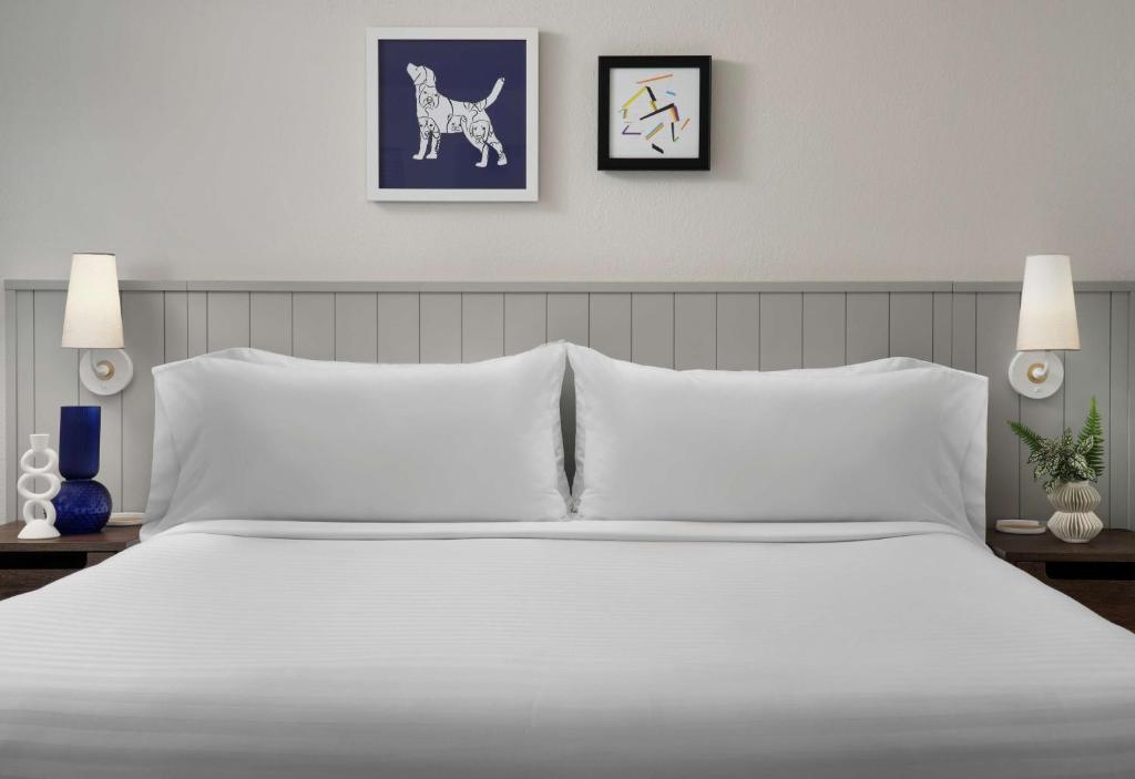 Sonesta ES Suites Chicago Downtown Magnificent Mile Medical - Mobility Accessible Lake View Studio Suite King