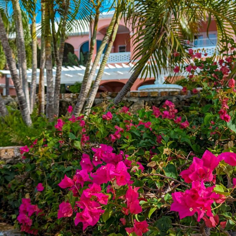 The Buccaneer Beach & Golf Resort - 大房子山景室
