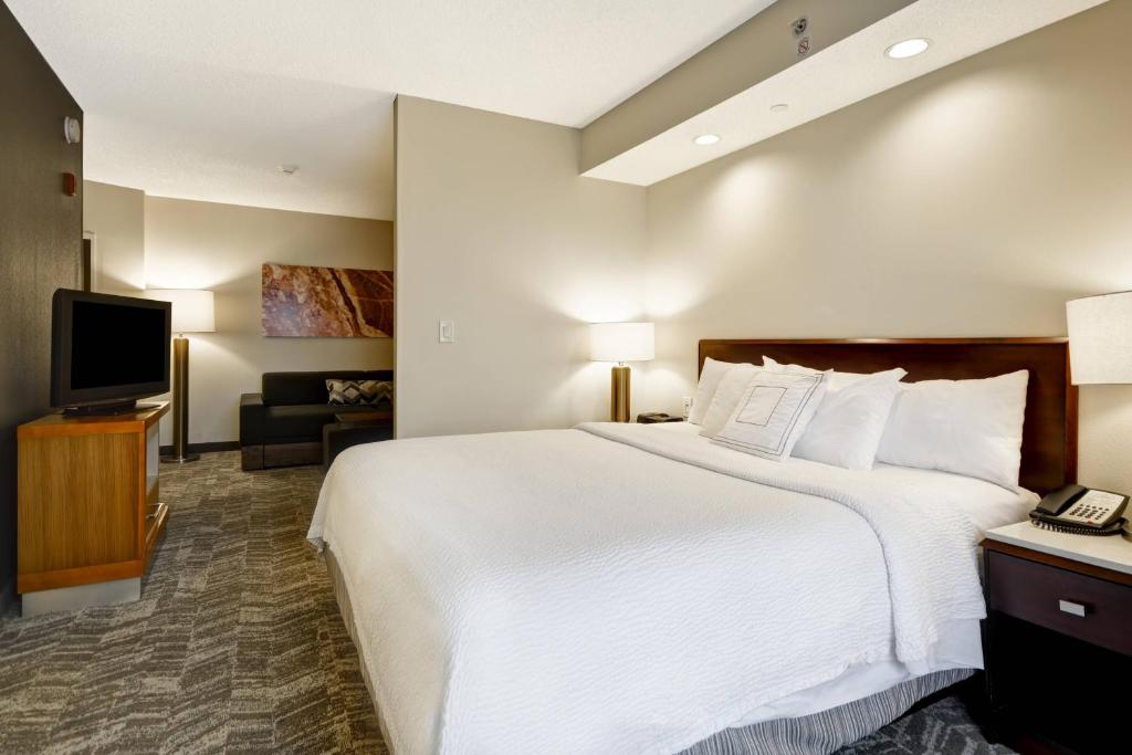 SpringHill Suites by Marriott Lexington Near the University of Kentucky - Suite King Con Sofá Cama