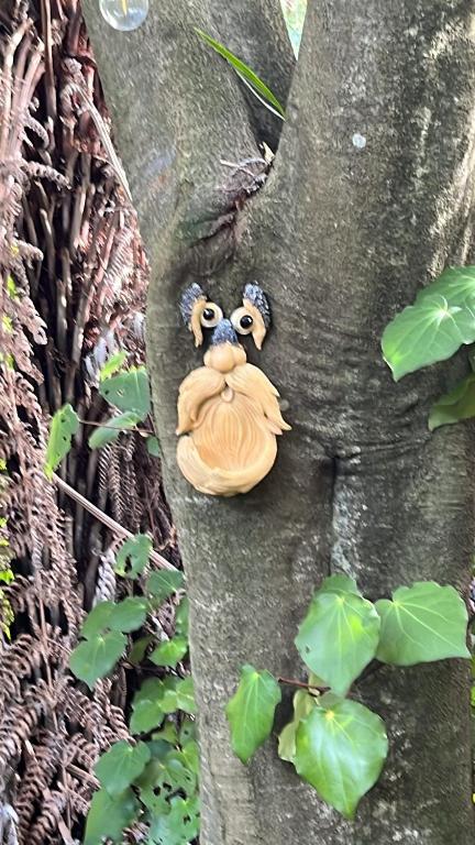 Uniqueness - Resim 12