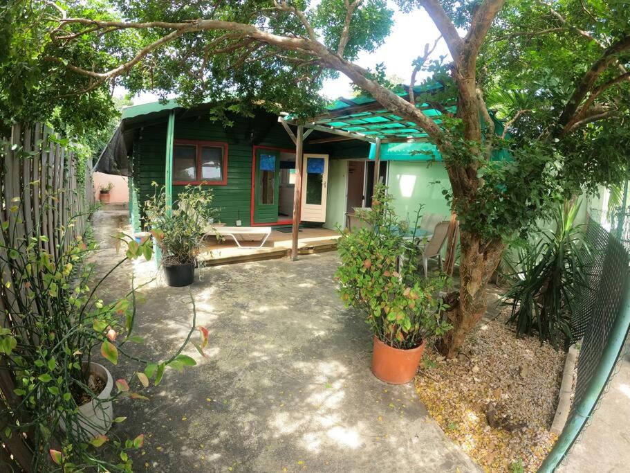 a small green house with plants in front of it at Island Relax Retreat in Willemstad