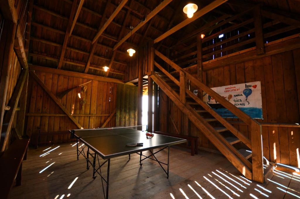 Stolní tenis v ubytování Apartmán u Trojmezí nebo okolí