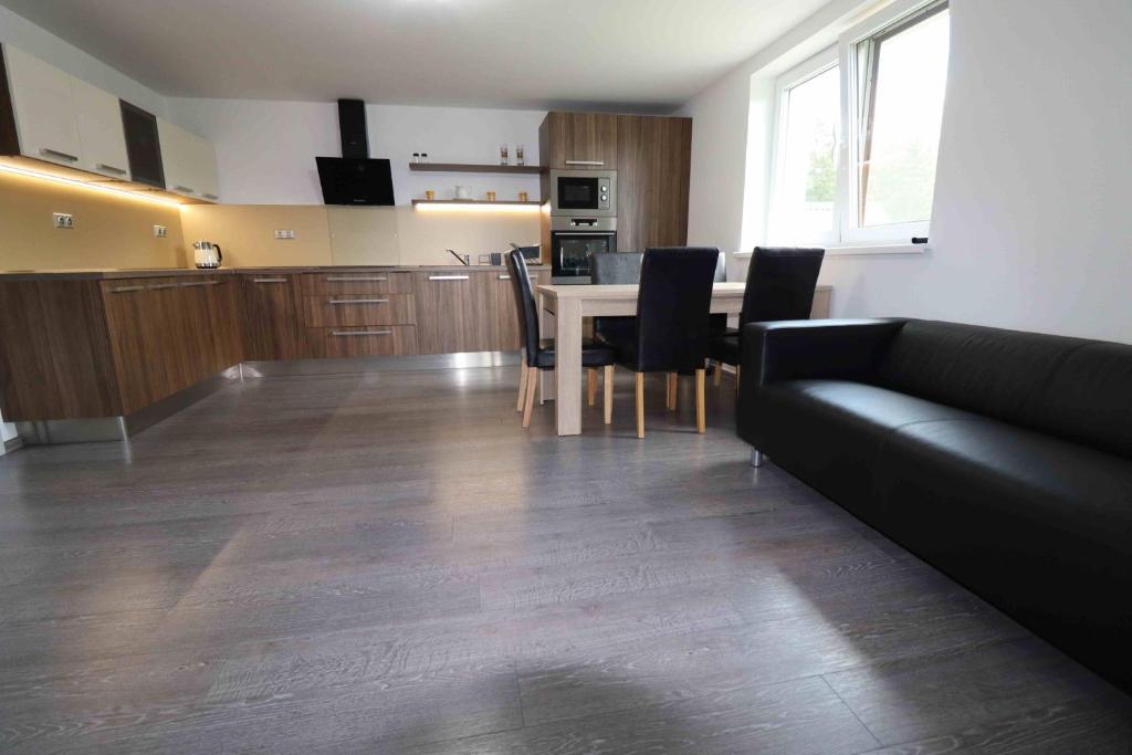 Kuchyň nebo kuchyňský kout v ubytování Apartmán u Trojmezí