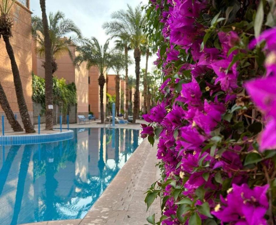 RIAD Le shams — photo 2