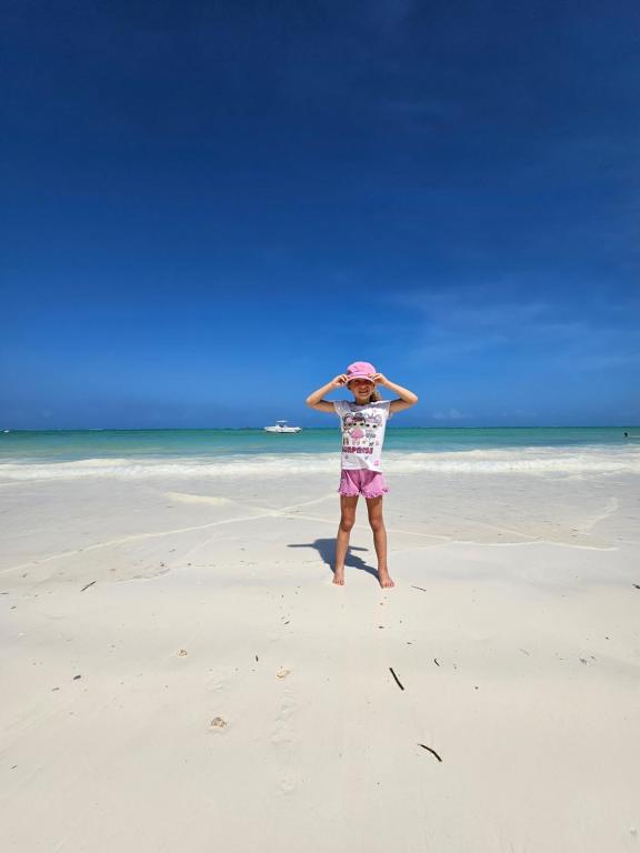 Mbaliparadise Guest Lodge PEMBA - One-Bedroom Apartment