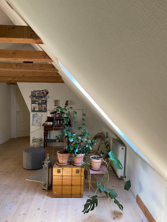 Fotografie z fotogalerie ubytování Pilemosegaard v destinaci Roskilde