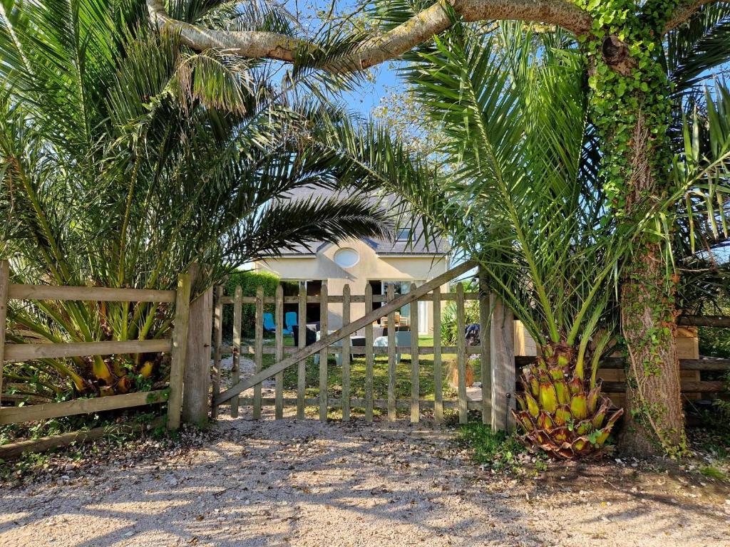 Gatteville-le-PhareにあるLa Maison Entre Terre & Merの椰子の木の横にバナナがたくさん並ぶ柵
